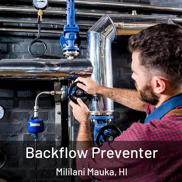  Backflow Preventer Mililani Mauka, HI