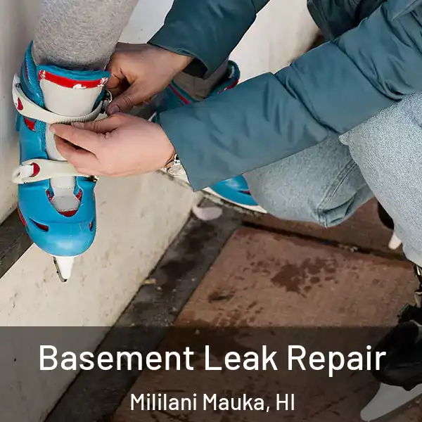  Basement Leak Repair Mililani Mauka, HI