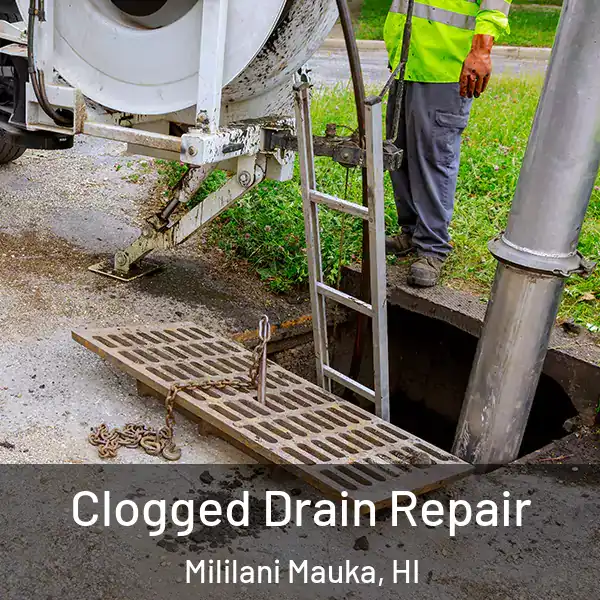  Clogged Drain Repair Mililani Mauka, HI
