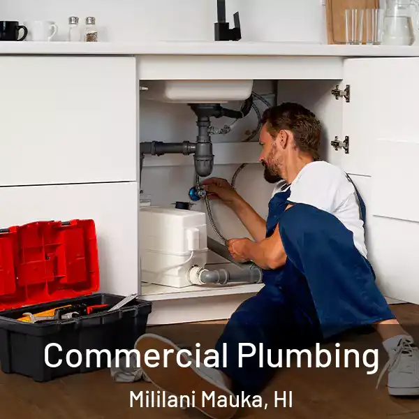  Commercial Plumbing Mililani Mauka, HI