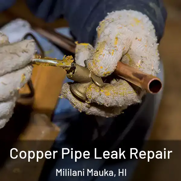  Copper Pipe Leak Repair Mililani Mauka, HI
