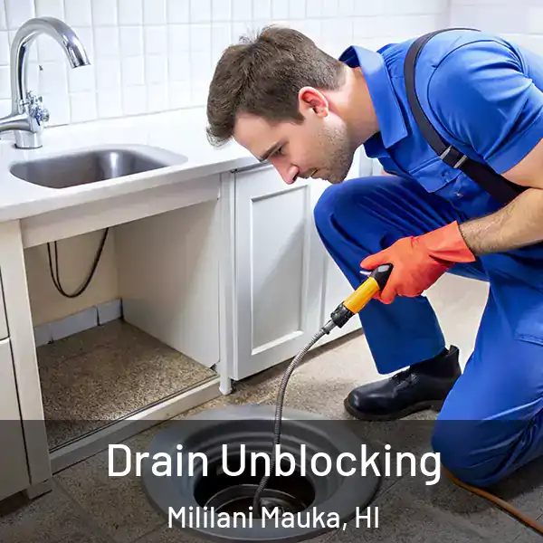  Drain Unblocking Mililani Mauka, HI