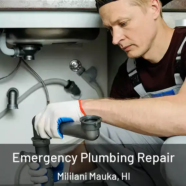  Emergency Plumbing Repair Mililani Mauka, HI