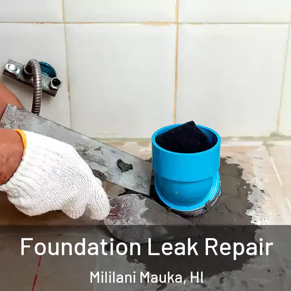  Foundation Leak Repair Mililani Mauka, HI