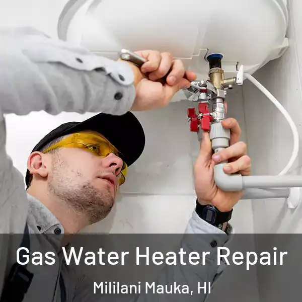  Gas Water Heater Repair Mililani Mauka, HI
