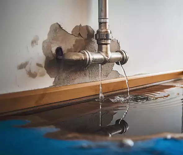 Professional Water Damage Restoration Experts in Mililani Mauka, HI — Fast, Reliable & Certified