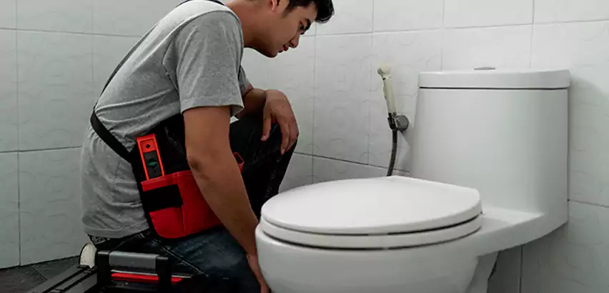 Toilet Repair in Mililani Mauka