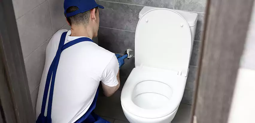 Toilet Lid Replacement in Mililani Mauka