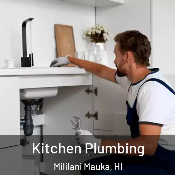  Kitchen Plumbing Mililani Mauka, HI