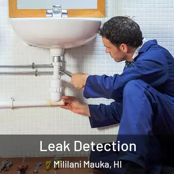  Leak Detection Mililani Mauka, HI