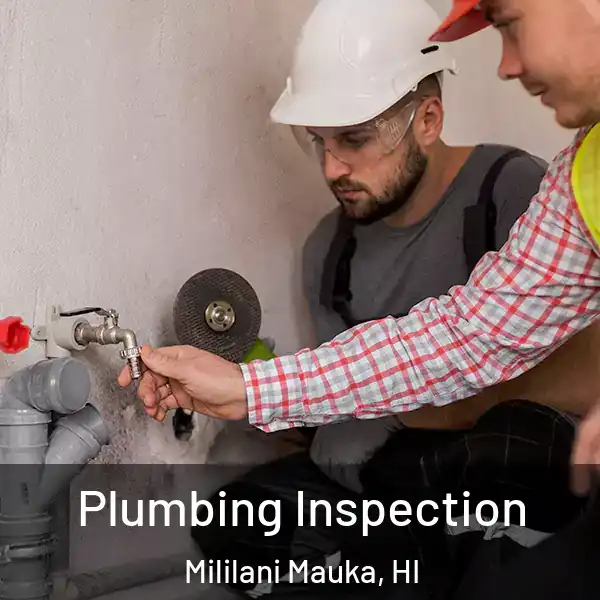  Plumbing Inspection Mililani Mauka, HI