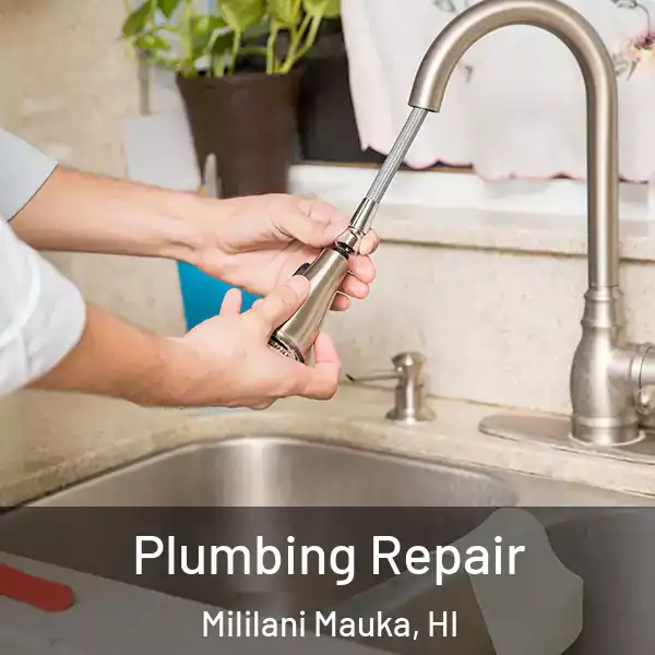  Plumbing Repair Mililani Mauka, HI
