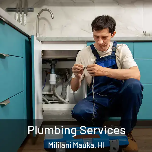 Plumbing Services Mililani Mauka, HI