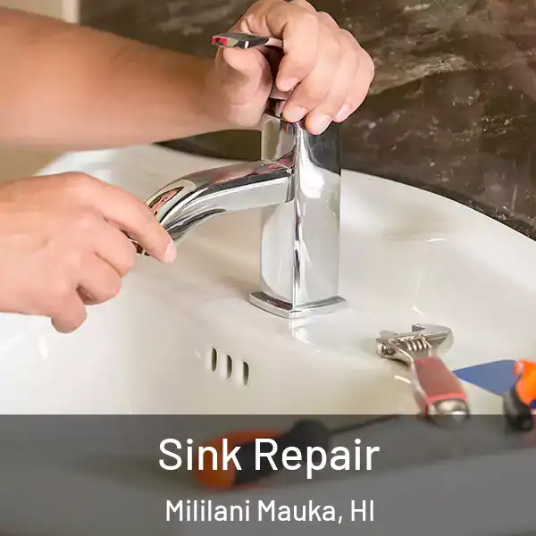  Sink Repair Mililani Mauka, HI