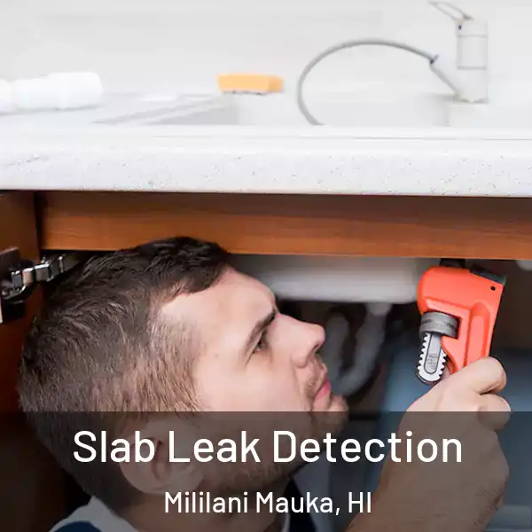  Slab Leak Detection Mililani Mauka, HI