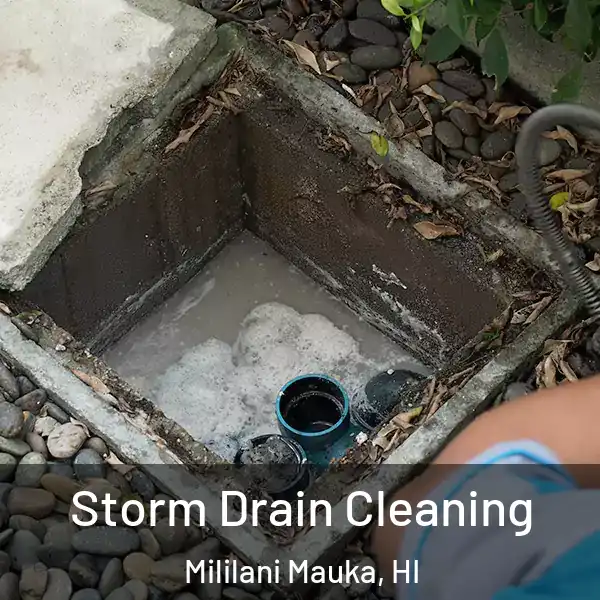  Storm Drain Cleaning Mililani Mauka, HI