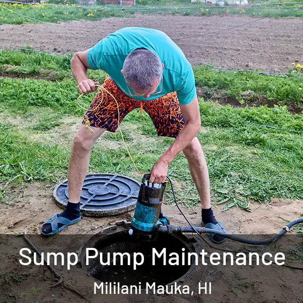  Sump Pump Maintenance Mililani Mauka, HI