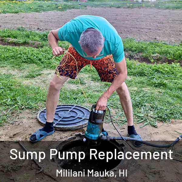  Sump Pump Replacement Mililani Mauka, HI