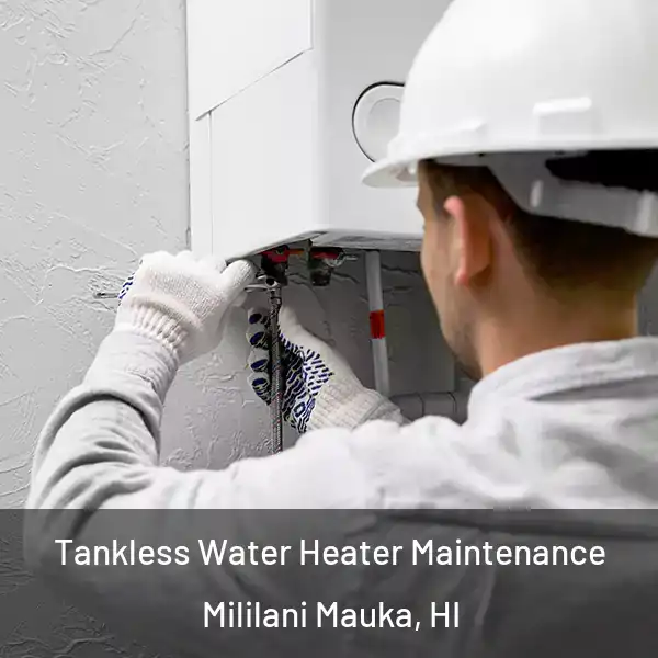  Tankless Water Heater Maintenance Mililani Mauka, HI