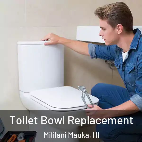  Toilet Bowl Replacement Mililani Mauka, HI