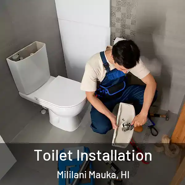  Toilet Installation Mililani Mauka, HI