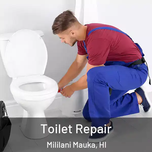  Toilet Repair Mililani Mauka, HI