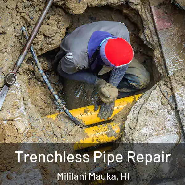  Trenchless Pipe Repair Mililani Mauka, HI
