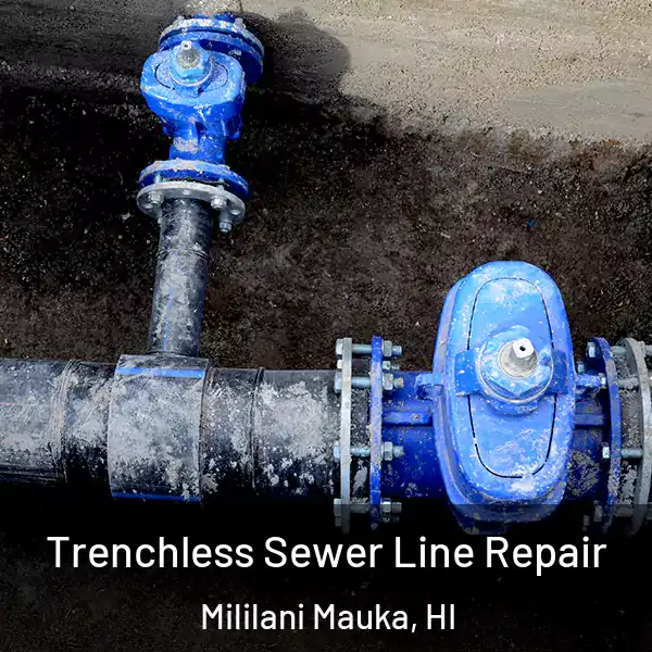  Trenchless Sewer Line Repair Mililani Mauka, HI
