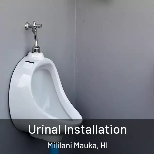  Urinal Installation Mililani Mauka, HI