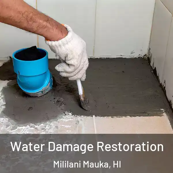  Water Damage Restoration Mililani Mauka, HI