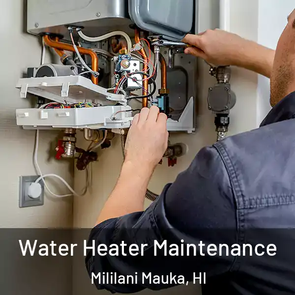  Water Heater Maintenance Mililani Mauka, HI