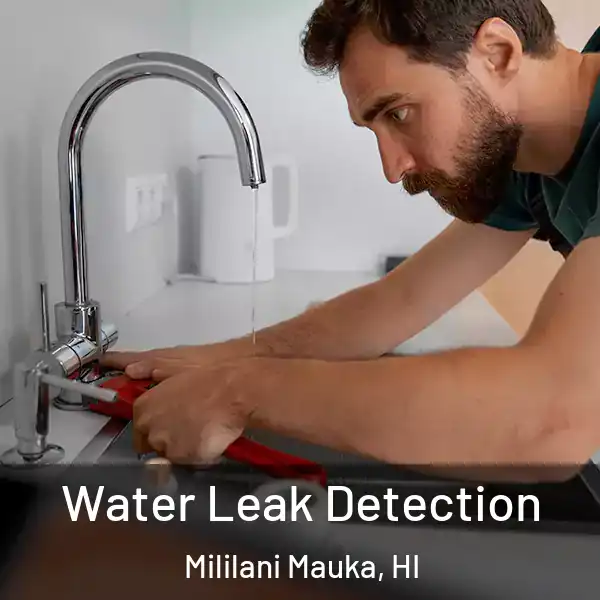  Water Leak Detection Mililani Mauka, HI