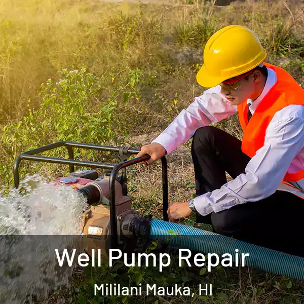  Well Pump Repair Mililani Mauka, HI