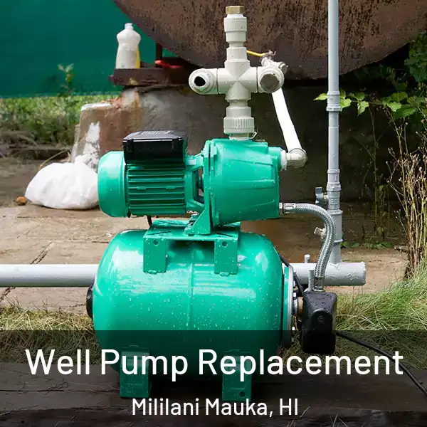  Well Pump Replacement Mililani Mauka, HI